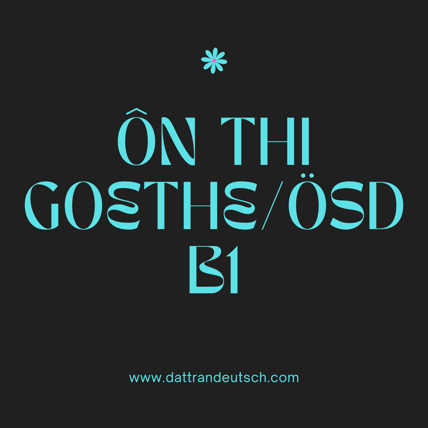 goethe-oesd-b1-widget.png